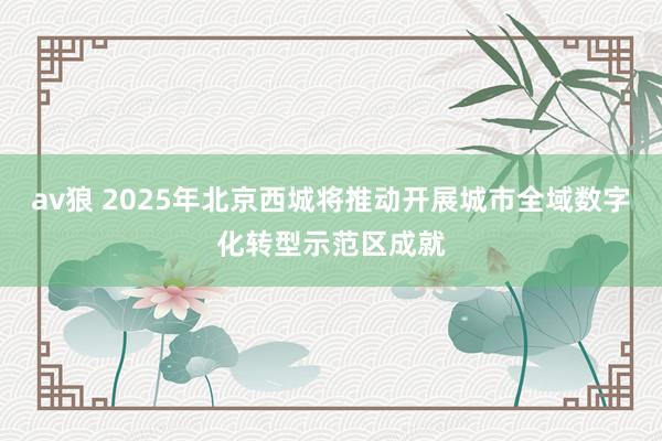 av狼 2025年北京西城将推动开展城市全域数字化转型示范区成就