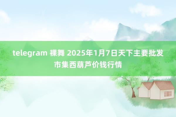 telegram 裸舞 2025年1月7日天下主要批发市集西葫芦价钱行情