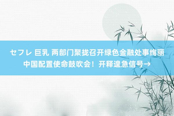 セフレ 巨乳 两部门聚拢召开绿色金融处事绚丽中国配置使命鼓吹会！开释遑急信号→