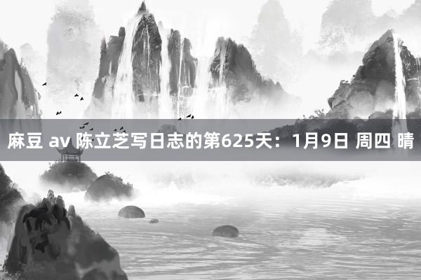麻豆 av 陈立芝写日志的第625天：1月9日 周四 晴
