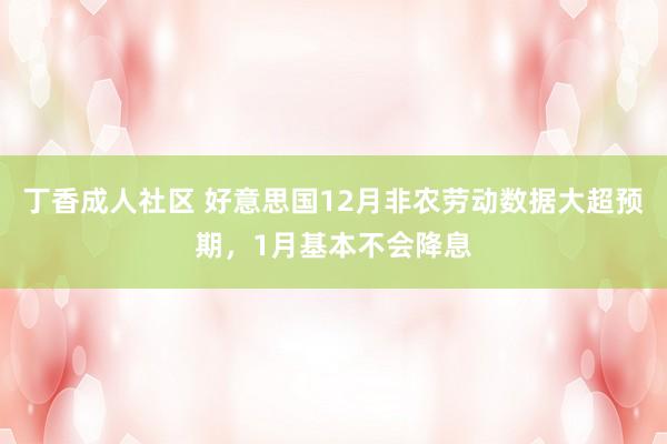 丁香成人社区 好意思国12月非农劳动数据大超预期，1月基本不会降息
