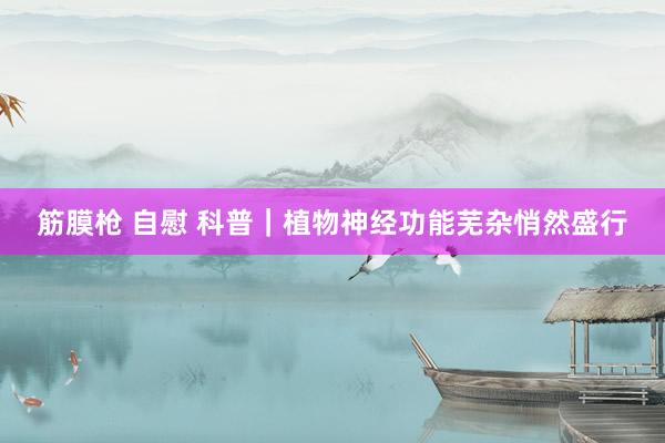 筋膜枪 自慰 科普｜植物神经功能芜杂悄然盛行