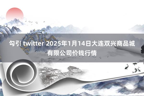勾引 twitter 2025年1月14日大连双兴商品城有限公司价钱行情