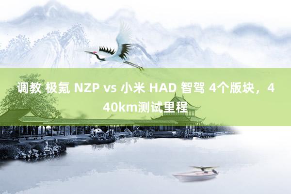 调教 极氪 NZP vs 小米 HAD 智驾 4个版块，440km测试里程