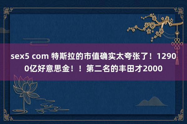 sex5 com 特斯拉的市值确实太夸张了！12900亿好意思金！！第二名的丰田才2000