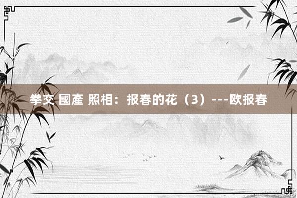 拳交 國產 照相：报春的花（3）---欧报春