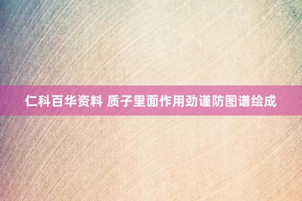 仁科百华资料 质子里面作用劲谨防图谱绘成
