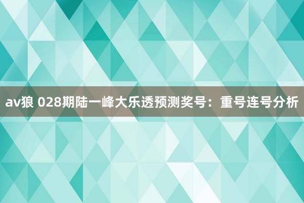 av狼 028期陆一峰大乐透预测奖号：重号连号分析