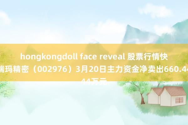 hongkongdoll face reveal 股票行情快报：瑞玛精密（002976）3月20日主力资金净卖出660.44万元