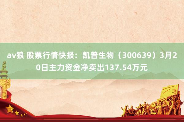 av狼 股票行情快报：凯普生物（300639）3月20日主力资金净卖出137.54万元