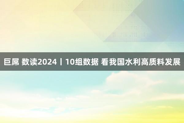 巨屌 数读2024丨10组数据 看我国水利高质料发展