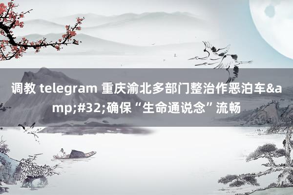 调教 telegram 重庆渝北多部门整治作恶泊车&#32;确保“生命通说念”流畅