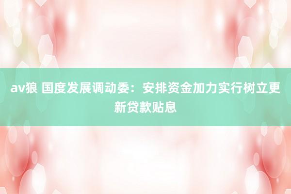 av狼 国度发展调动委：安排资金加力实行树立更新贷款贴息