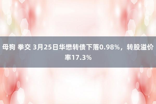 母狗 拳交 3月25日华懋转债下落0.98%，转股溢价率17.3%