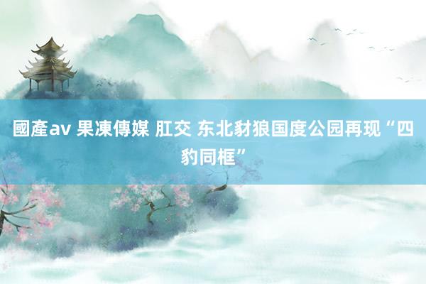 國產av 果凍傳媒 肛交 东北豺狼国度公园再现“四豹同框”