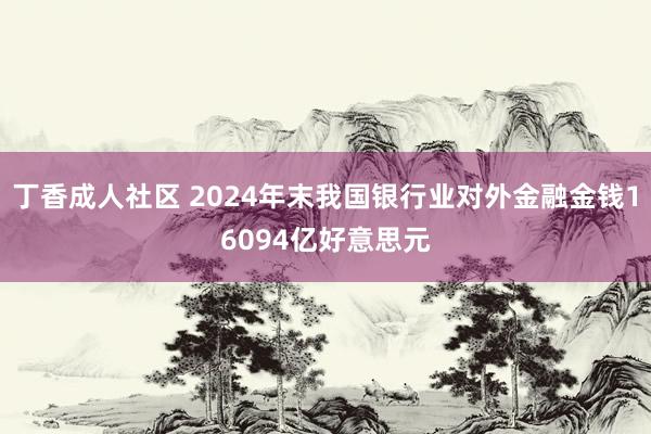 丁香成人社区 2024年末我国银行业对外金融金钱16094亿好意思元