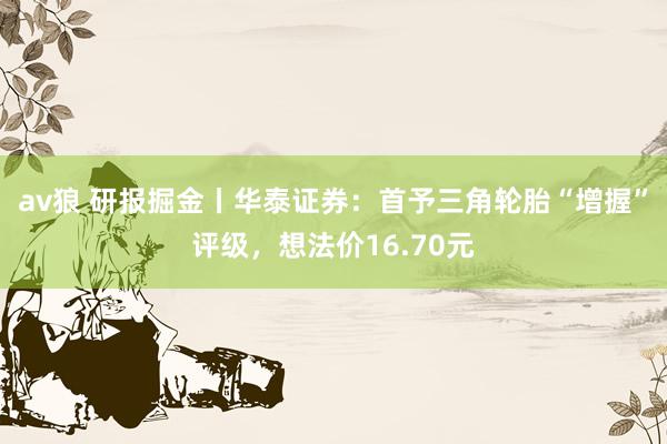 av狼 研报掘金丨华泰证券：首予三角轮胎“增握”评级，想法价16.70元