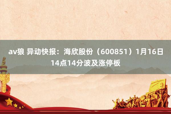 av狼 异动快报：海欣股份（600851）1月16日14点14分波及涨停板