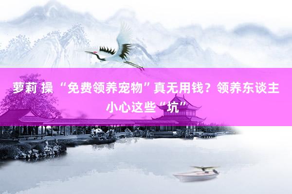 萝莉 操 “免费领养宠物”真无用钱？领养东谈主小心这些“坑”