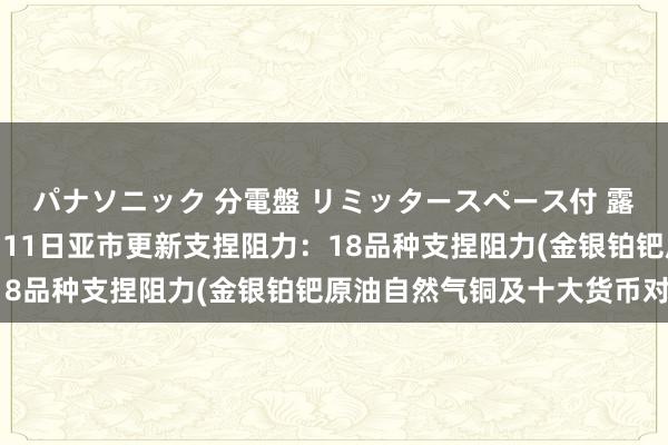 パナソニック 分電盤 リミッタースペース付 露出・半埋込両用形 3月11日亚市更新支捏阻力：18品种支捏阻力(金银铂钯原油自然气铜及十大货币对)