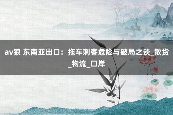 av狼 东南亚出口：拖车刺客危险与破局之谈_散货_物流_口岸