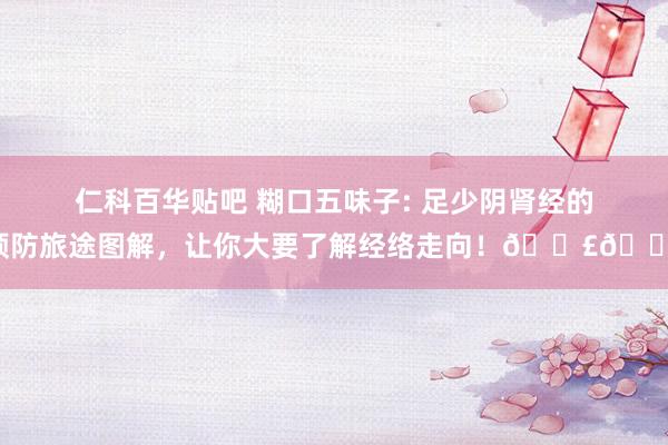 仁科百华贴吧 糊口五味子: 足少阴肾经的预防旅途图解，让你大要了解经络走向！👣💡