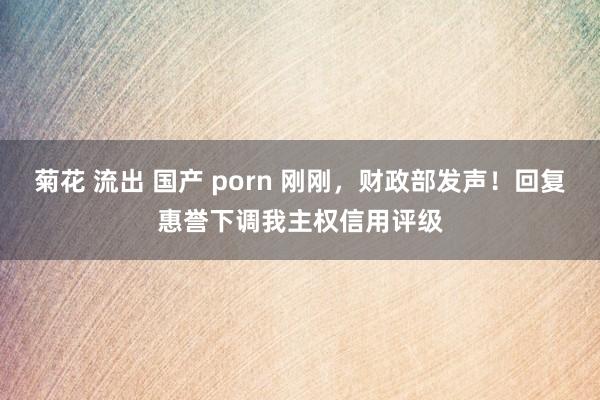 菊花 流出 国产 porn 刚刚，财政部发声！回复惠誉下调我主权信用评级