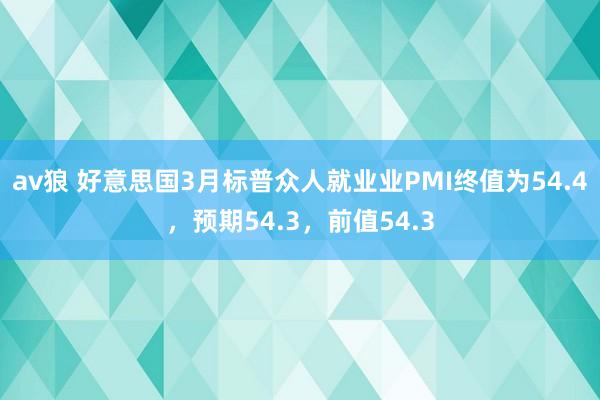 av狼 好意思国3月标普众人就业业PMI终值为54.4，预期54.3，前值54.3