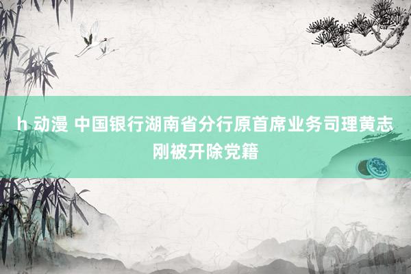 h 动漫 中国银行湖南省分行原首席业务司理黄志刚被开除党籍