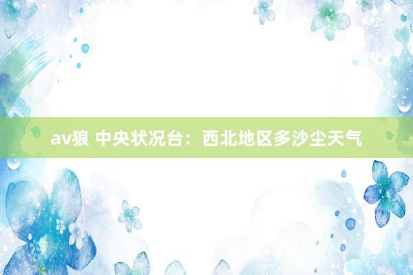 av狼 中央状况台：西北地区多沙尘天气