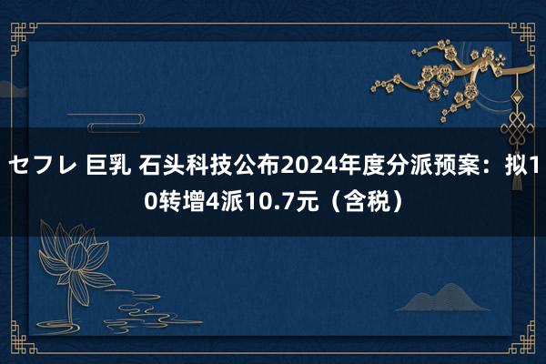 セフレ 巨乳 石头科技公布2024年度分派预案：拟10转增4派10.7元（含税）