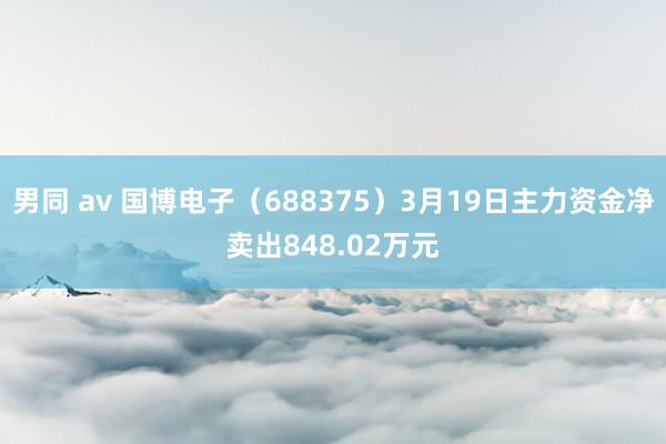 男同 av 国博电子（688375）3月19日主力资金净卖出848.02万元