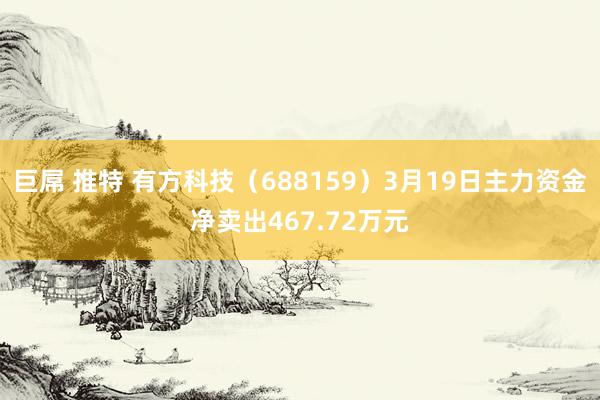 巨屌 推特 有方科技（688159）3月19日主力资金净卖出467.72万元