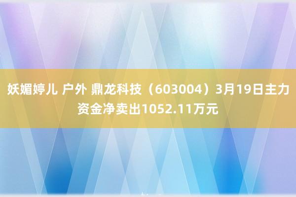 妖媚婷儿 户外 鼎龙科技（603004）3月19日主力资金净卖出1052.11万元