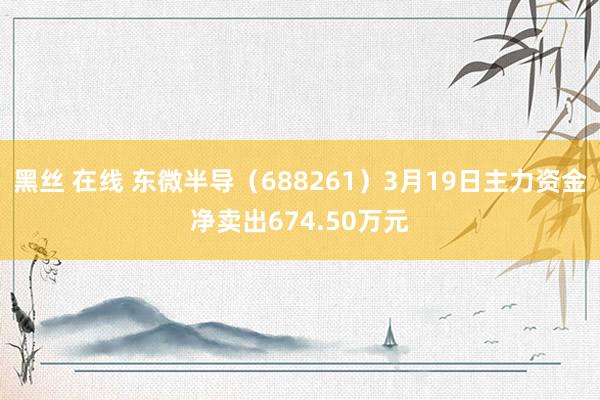 黑丝 在线 东微半导（688261）3月19日主力资金净卖出674.50万元