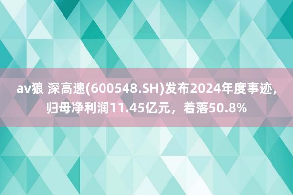 av狼 深高速(600548.SH)发布2024年度事迹，归母净利润11.45亿元，着落50.8%