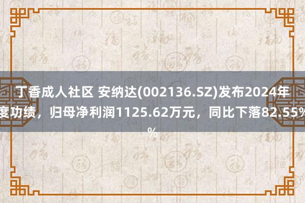 丁香成人社区 安纳达(002136.SZ)发布2024年度功绩，归母净利润1125.62万元，同比下落82.55%