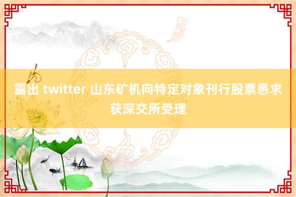 露出 twitter 山东矿机向特定对象刊行股票恳求获深交所受理