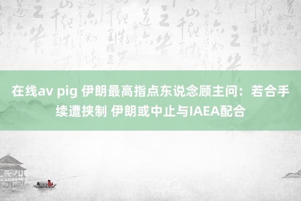 在线av pig 伊朗最高指点东说念顾主问：若合手续遭挟制 伊朗或中止与IAEA配合