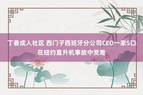 丁香成人社区 西门子西班牙分公司CEO一家5口在纽约直升机事故中受难