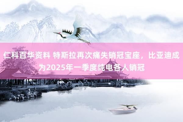 仁科百华资料 特斯拉再次痛失销冠宝座，比亚迪成为2025年一季度纯电各人销冠