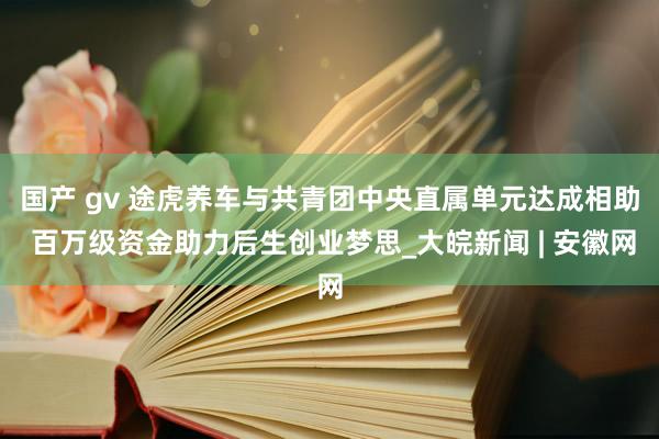 国产 gv 途虎养车与共青团中央直属单元达成相助 百万级资金助力后生创业梦思_大皖新闻 | 安徽网