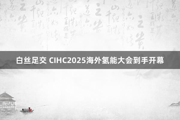 白丝足交 CIHC2025海外氢能大会到手开幕