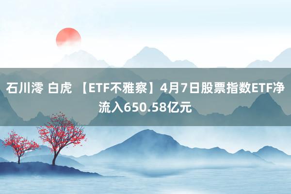 石川澪 白虎 【ETF不雅察】4月7日股票指数ETF净流入650.58亿元