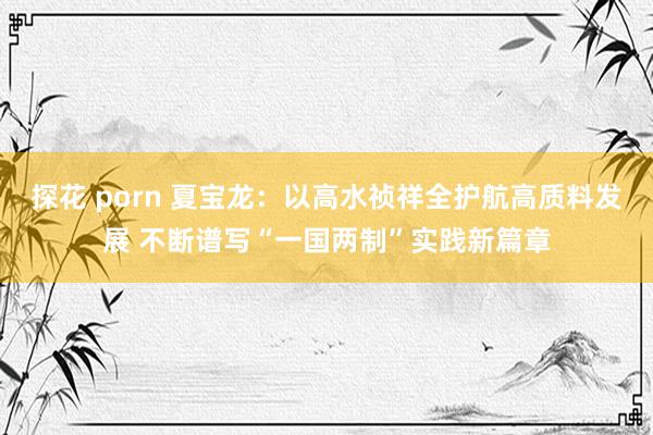 探花 porn 夏宝龙：以高水祯祥全护航高质料发展 不断谱写“一国两制”实践新篇章