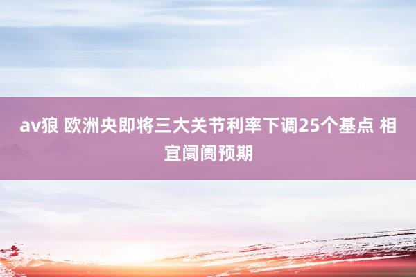 av狼 欧洲央即将三大关节利率下调25个基点 相宜阛阓预期
