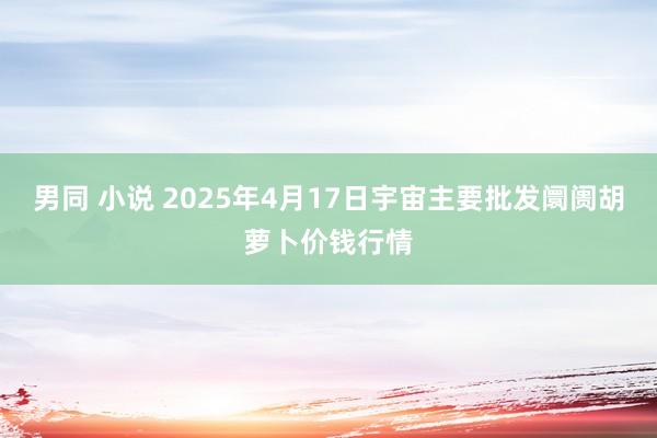 男同 小说 2025年4月17日宇宙主要批发阛阓胡萝卜价钱行情