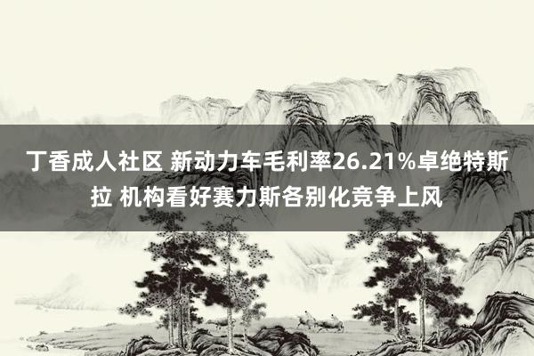 丁香成人社区 新动力车毛利率26.21%卓绝特斯拉 机构看好赛力斯各别化竞争上风