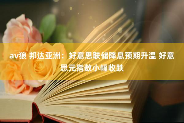 av狼 邦达亚洲：好意思联储降息预期升温 好意思元指数小幅收跌