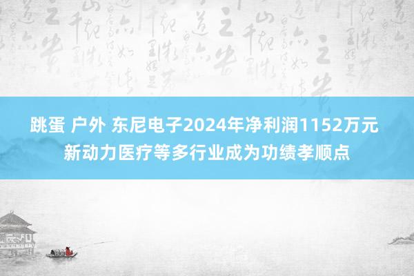 跳蛋 户外 东尼电子2024年净利润1152万元 新动力医疗等多行业成为功绩孝顺点